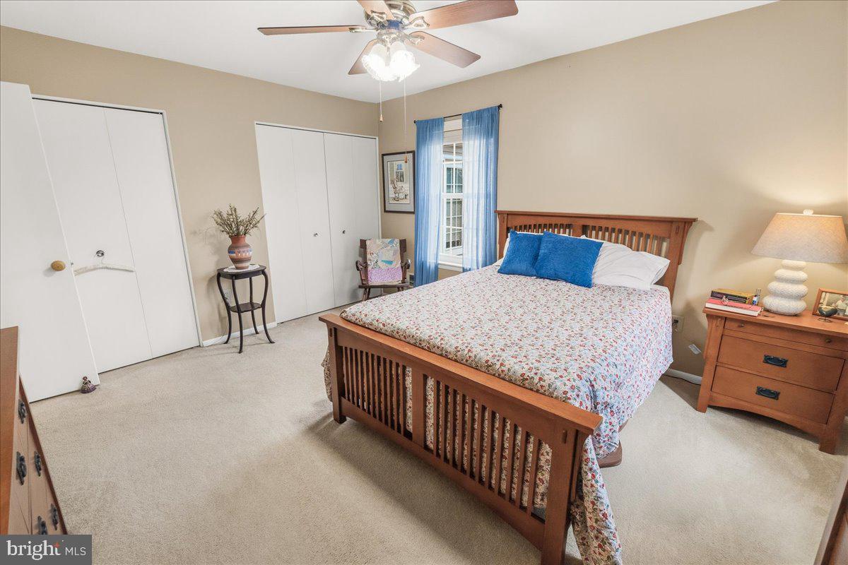 6879 Snowberry Ct Property Photo 35