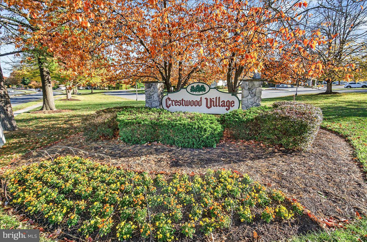 6879 Snowberry Ct Property Photo 88