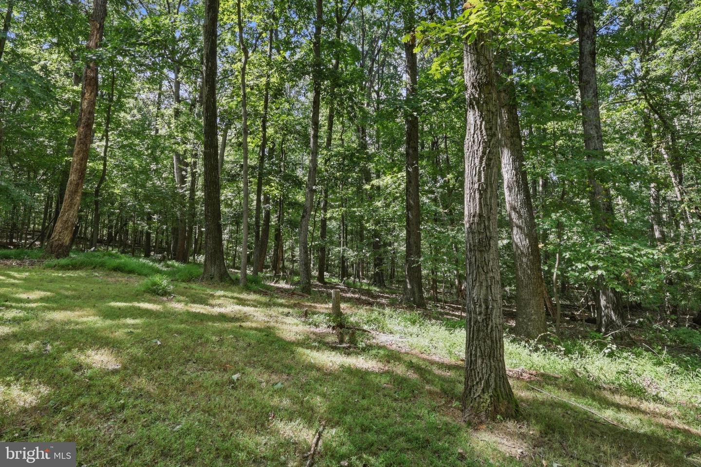 4404 Buffalo Rd Property Photo 16