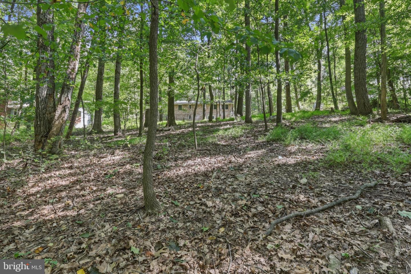 4404 Buffalo Rd Property Photo 17