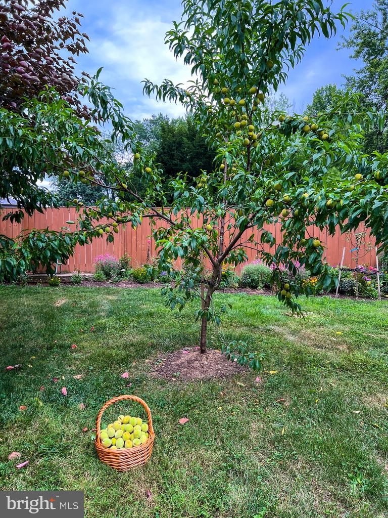 1722 Shookstown Rd Property Photo 51