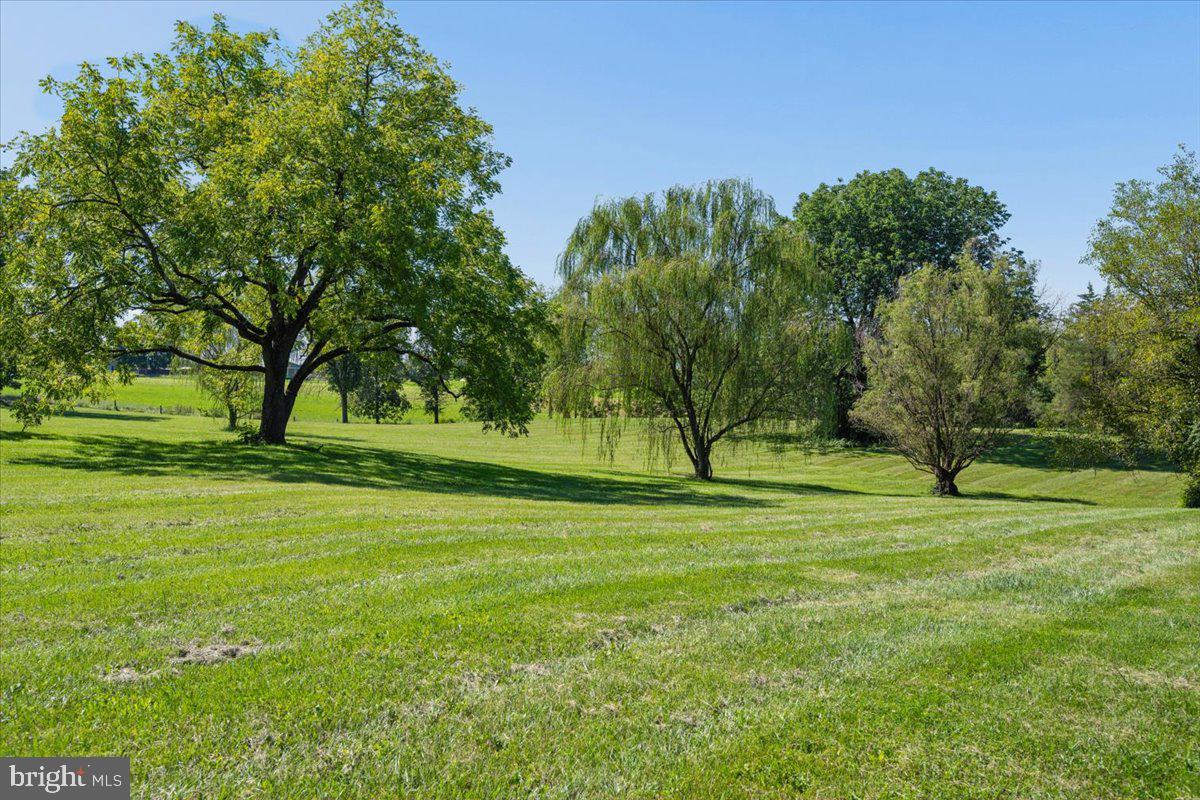 10927 Sixes Rd Property Photo 111