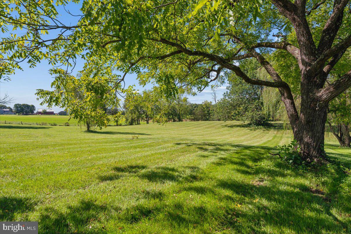 10927 Sixes Rd Property Photo 112