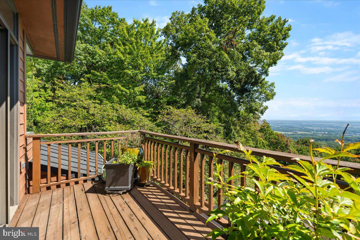 5506 Bootjack Dr Property Photo 47