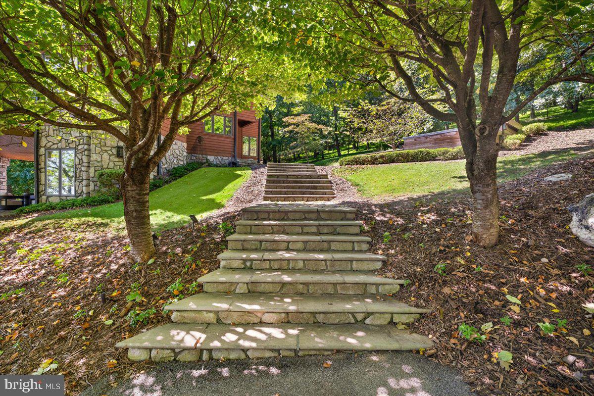 5506 Bootjack Dr Property Photo 79