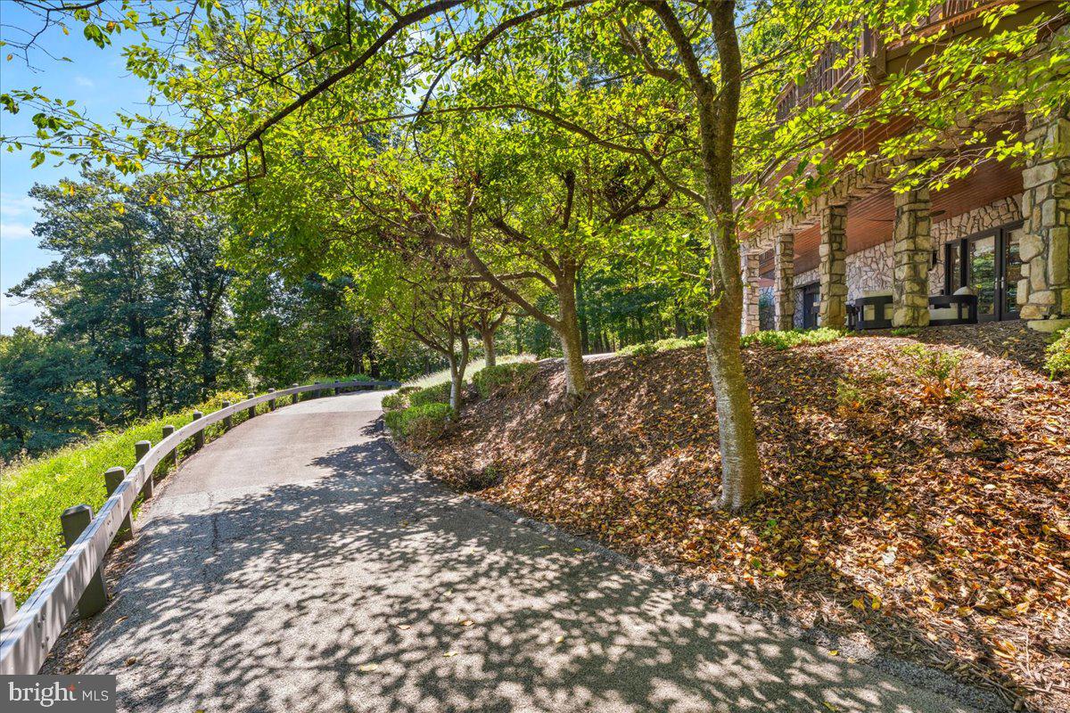 5506 Bootjack Dr Property Photo 80