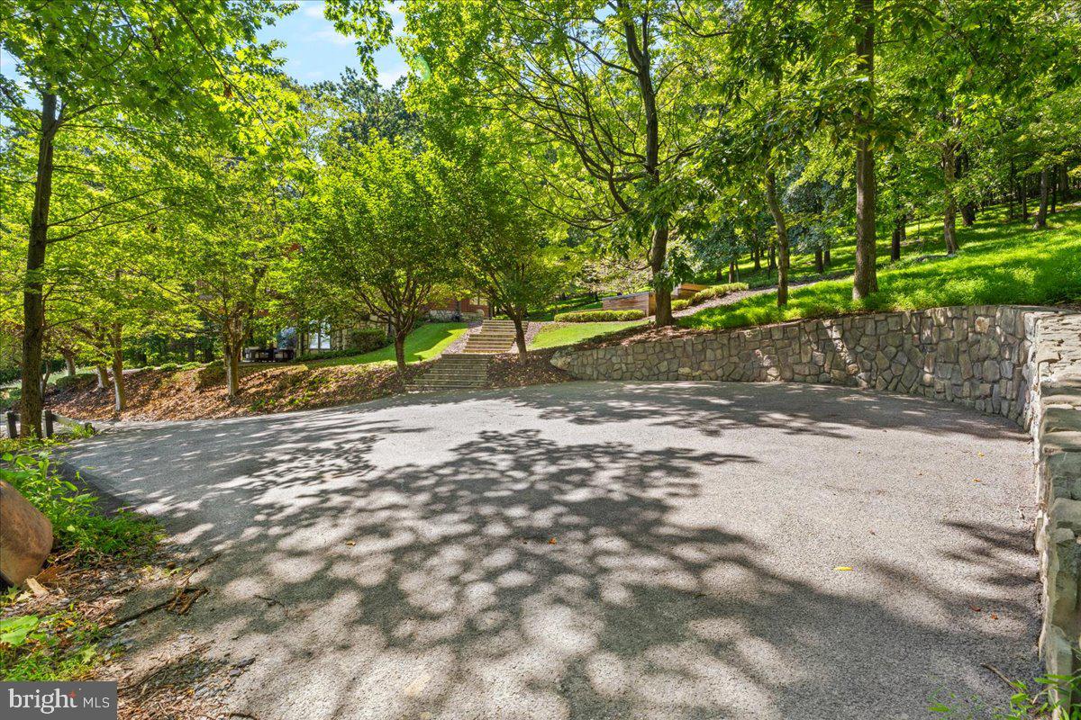 5506 Bootjack Dr Property Photo 83
