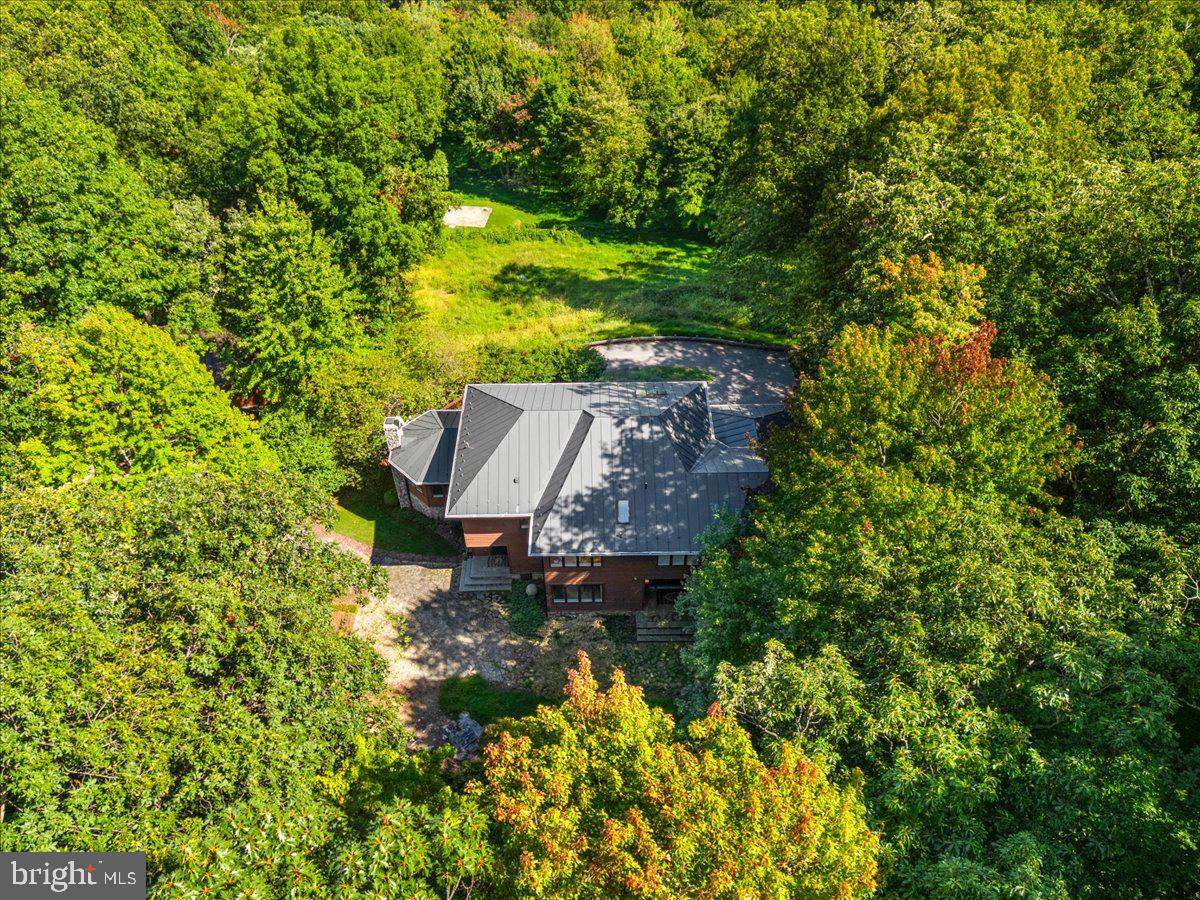 5506 Bootjack Dr Property Photo 89