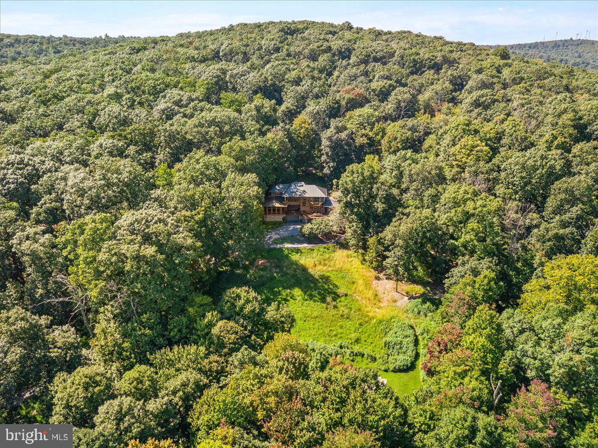 5506 Bootjack Dr Property Photo 90