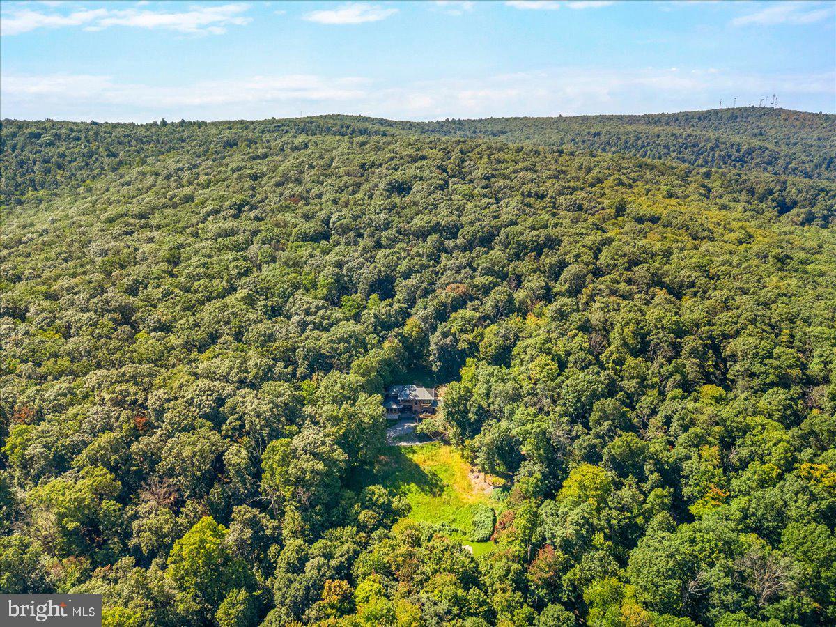 5506 Bootjack Dr Property Photo 91