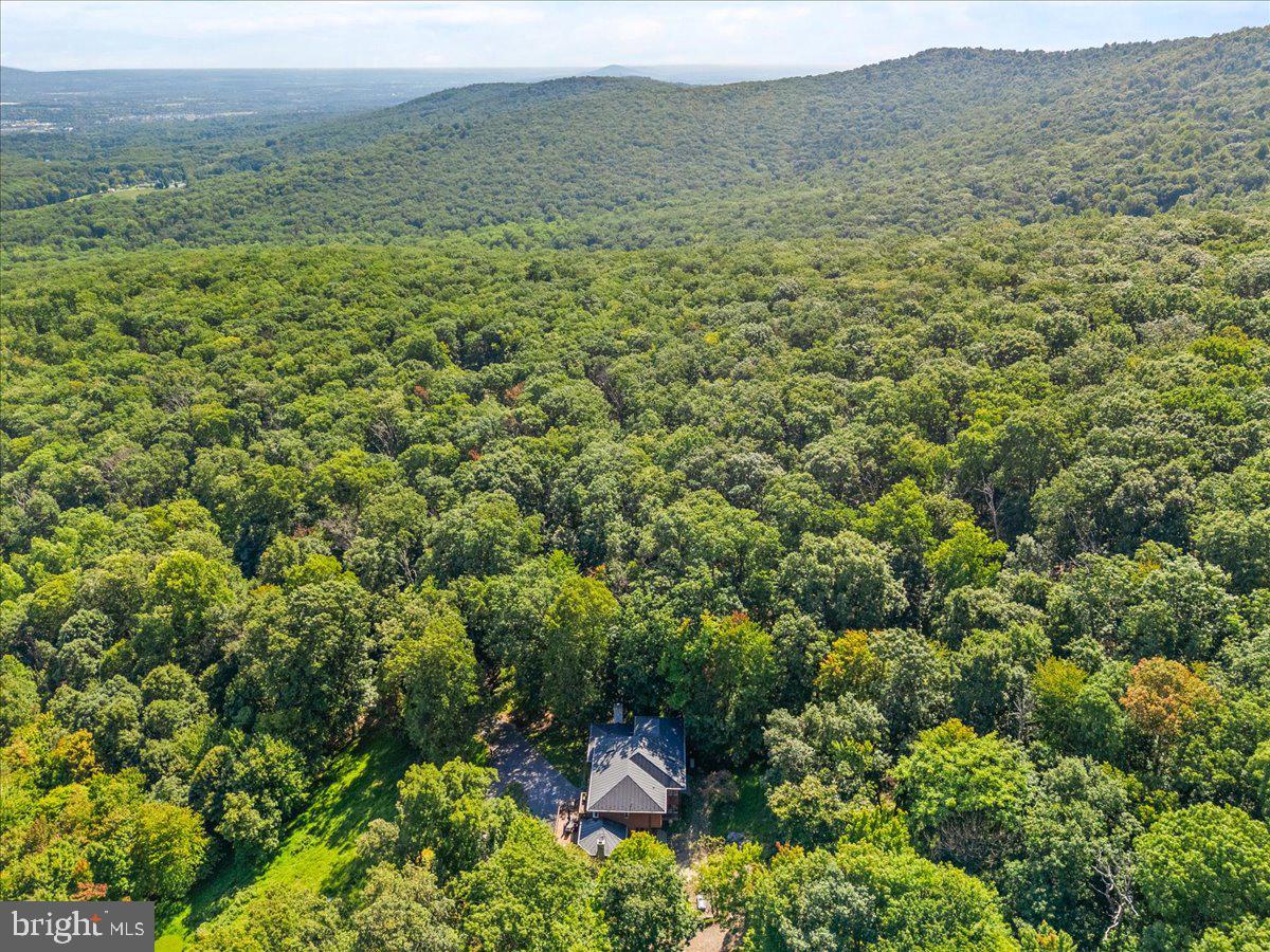 5506 Bootjack Dr Property Photo 93