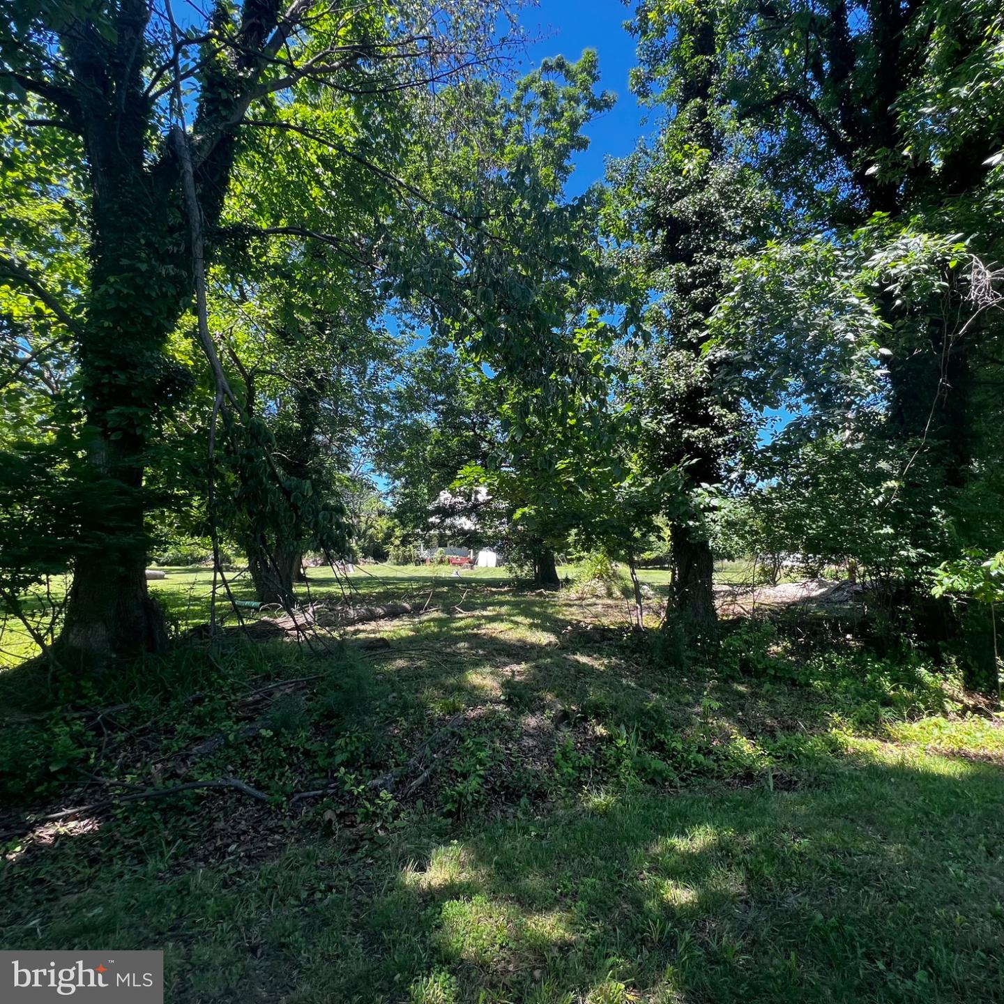 11 Woodside Ave Property Photo 3