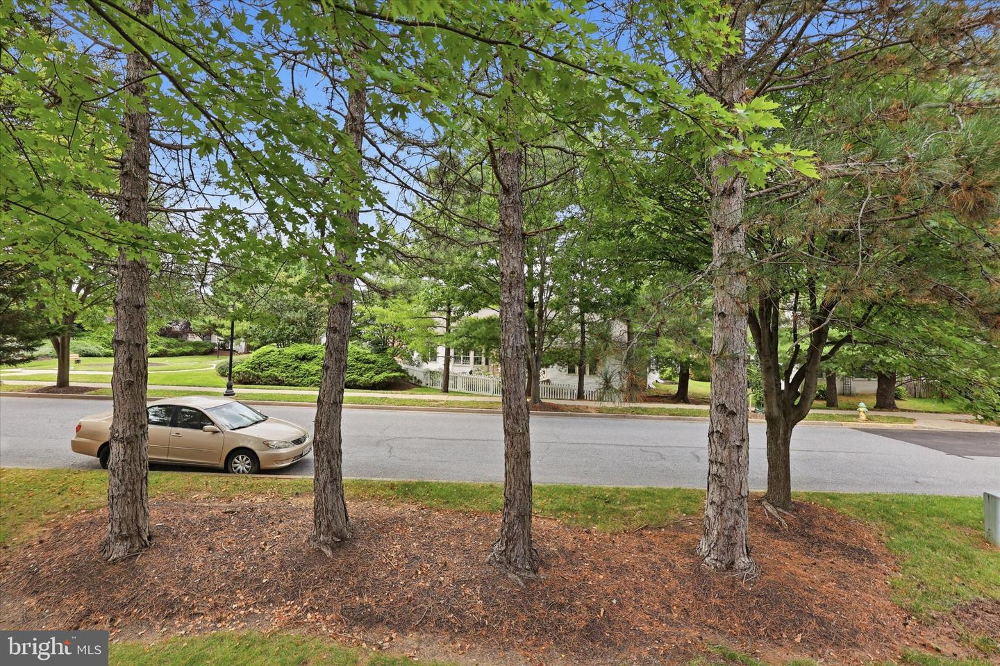 2429 Bear Den Rd Property Photo 42