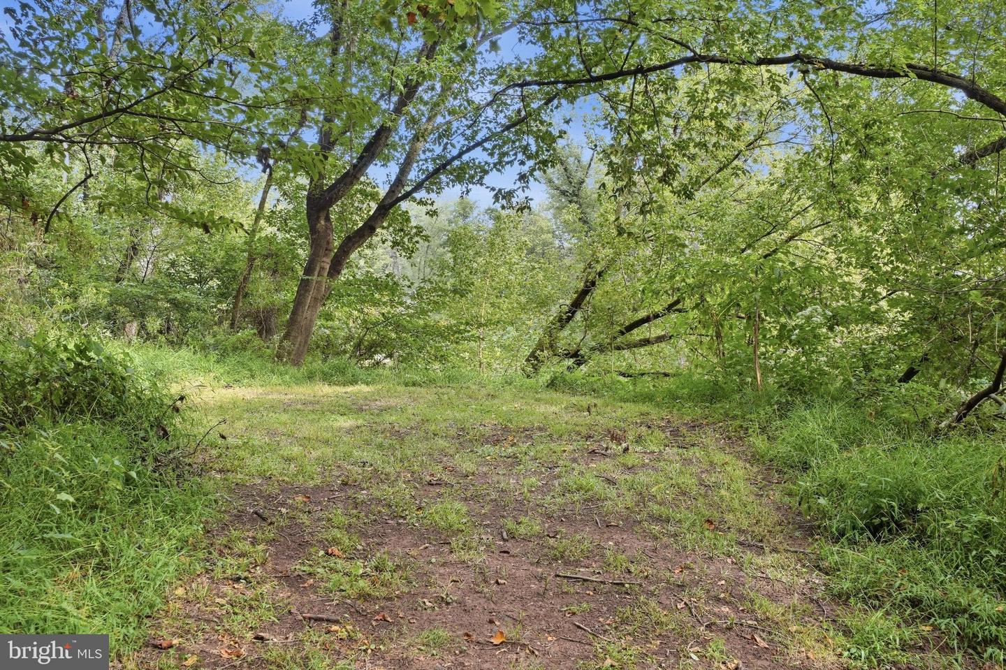 8613 Ramsburg Rd Property Photo 60