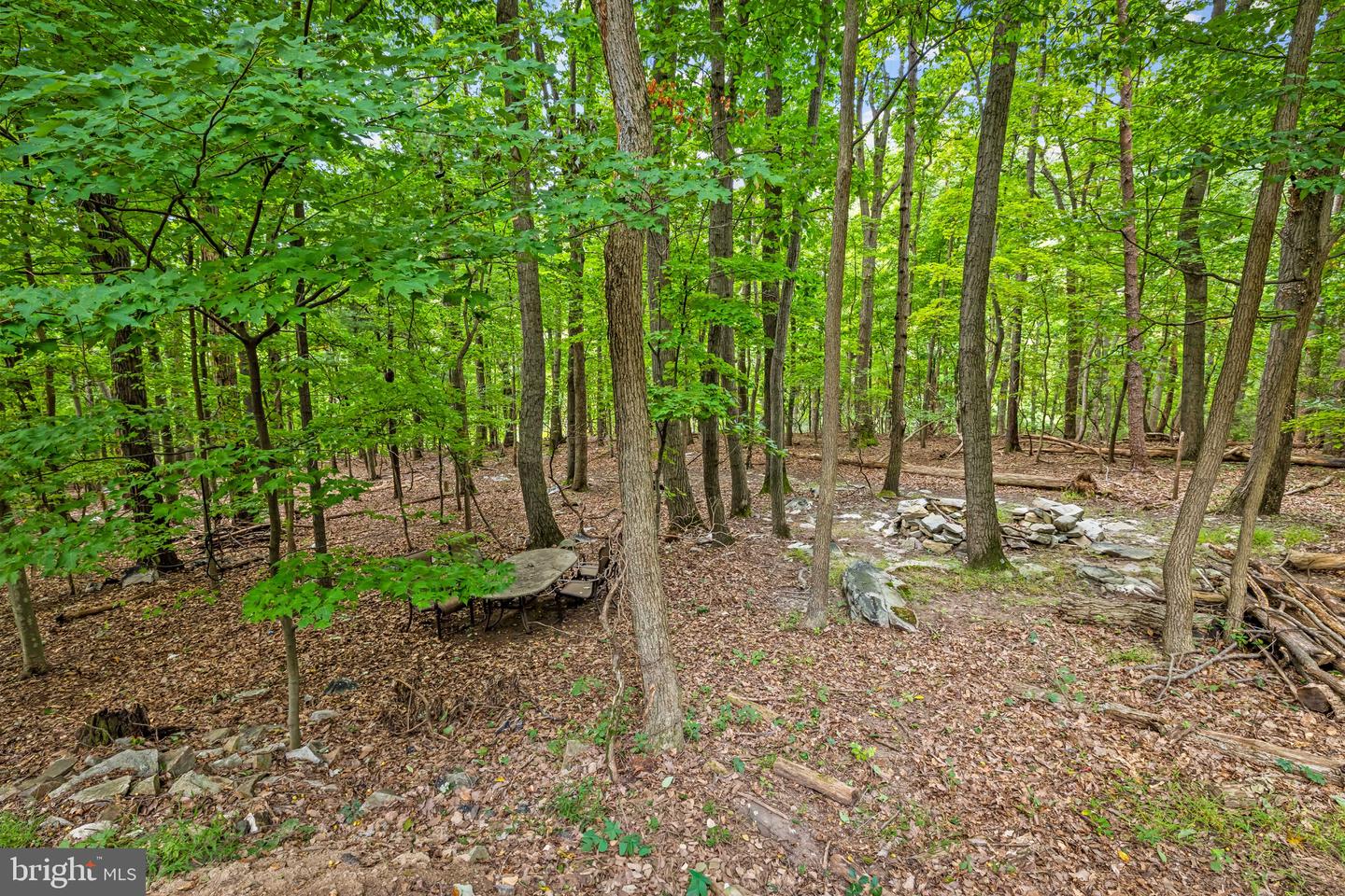 7407 Baltimore National Pike Property Photo 51