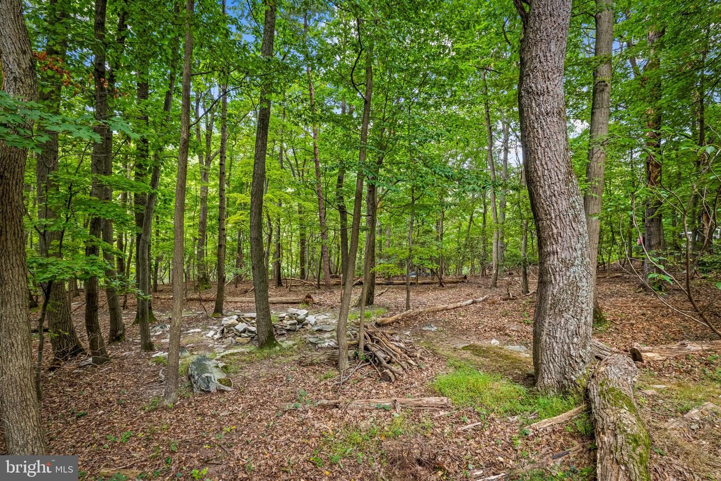 7407 Baltimore National Pike Property Photo 52
