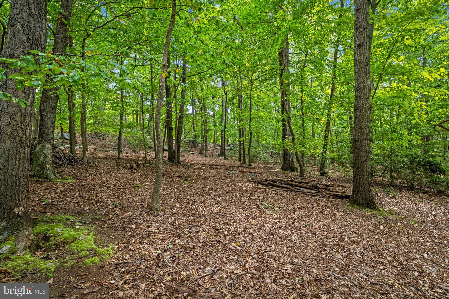 7407 Baltimore National Pike Property Photo 53