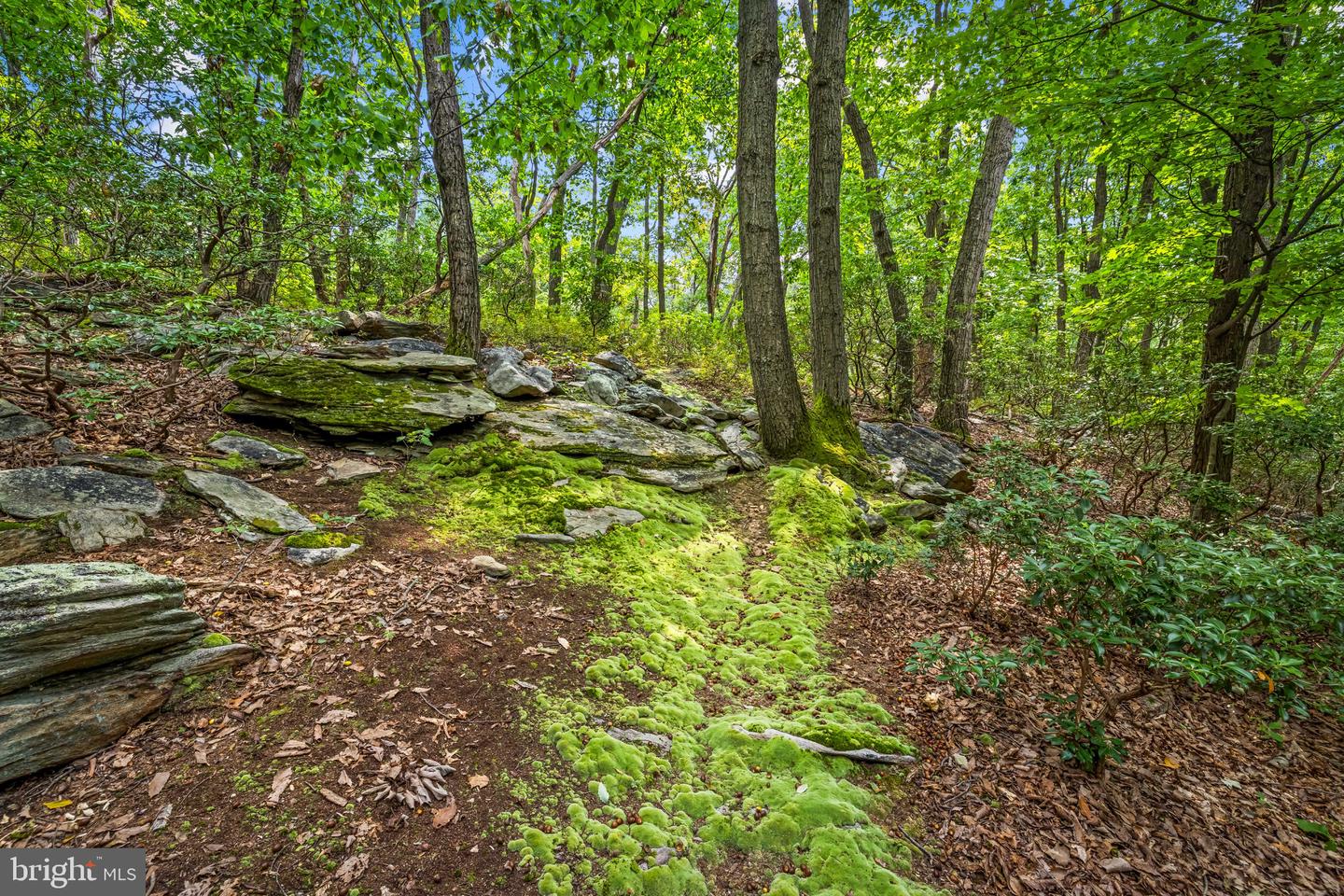 7407 Baltimore National Pike Property Photo 54