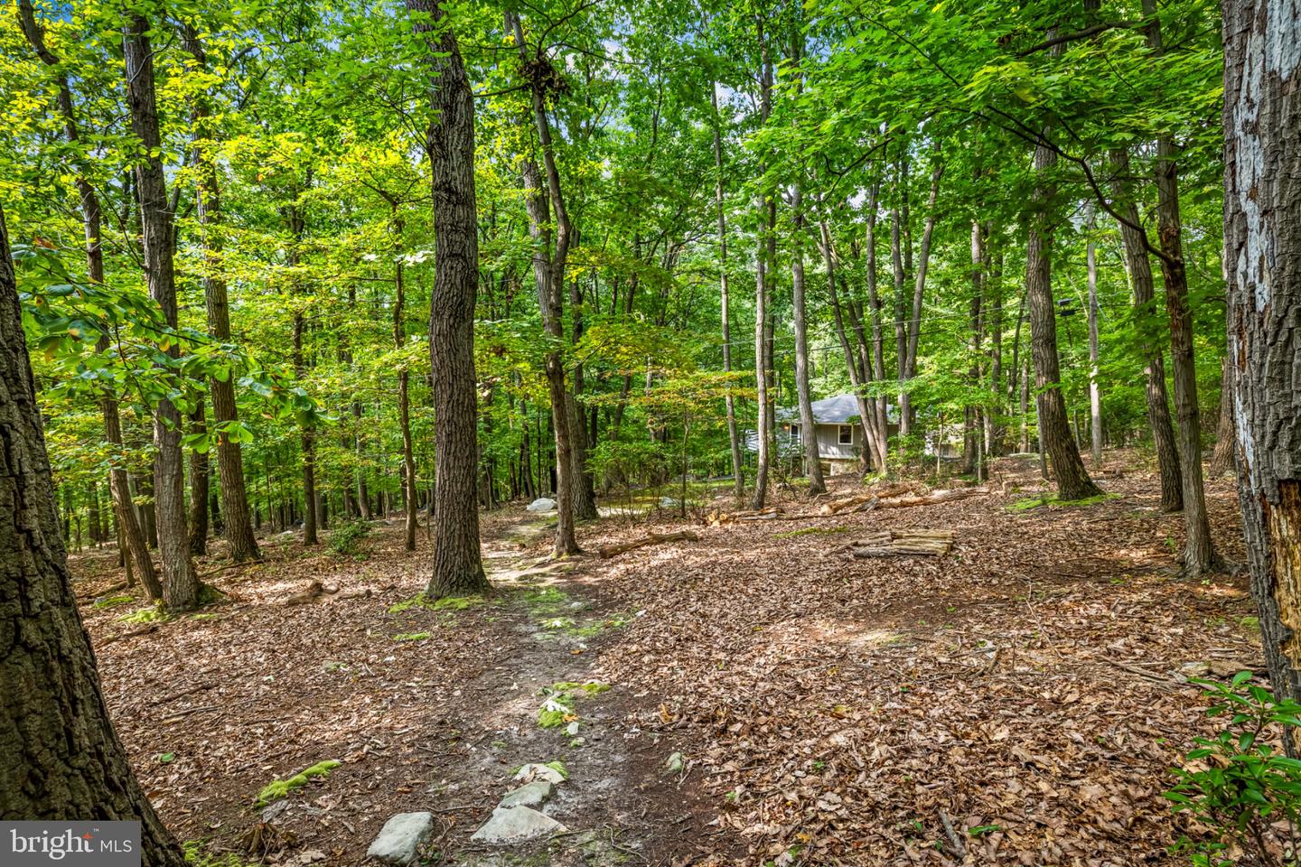 7407 Baltimore National Pike Property Photo 57