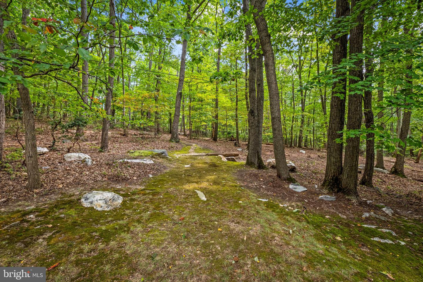 7407 Baltimore National Pike Property Photo 58