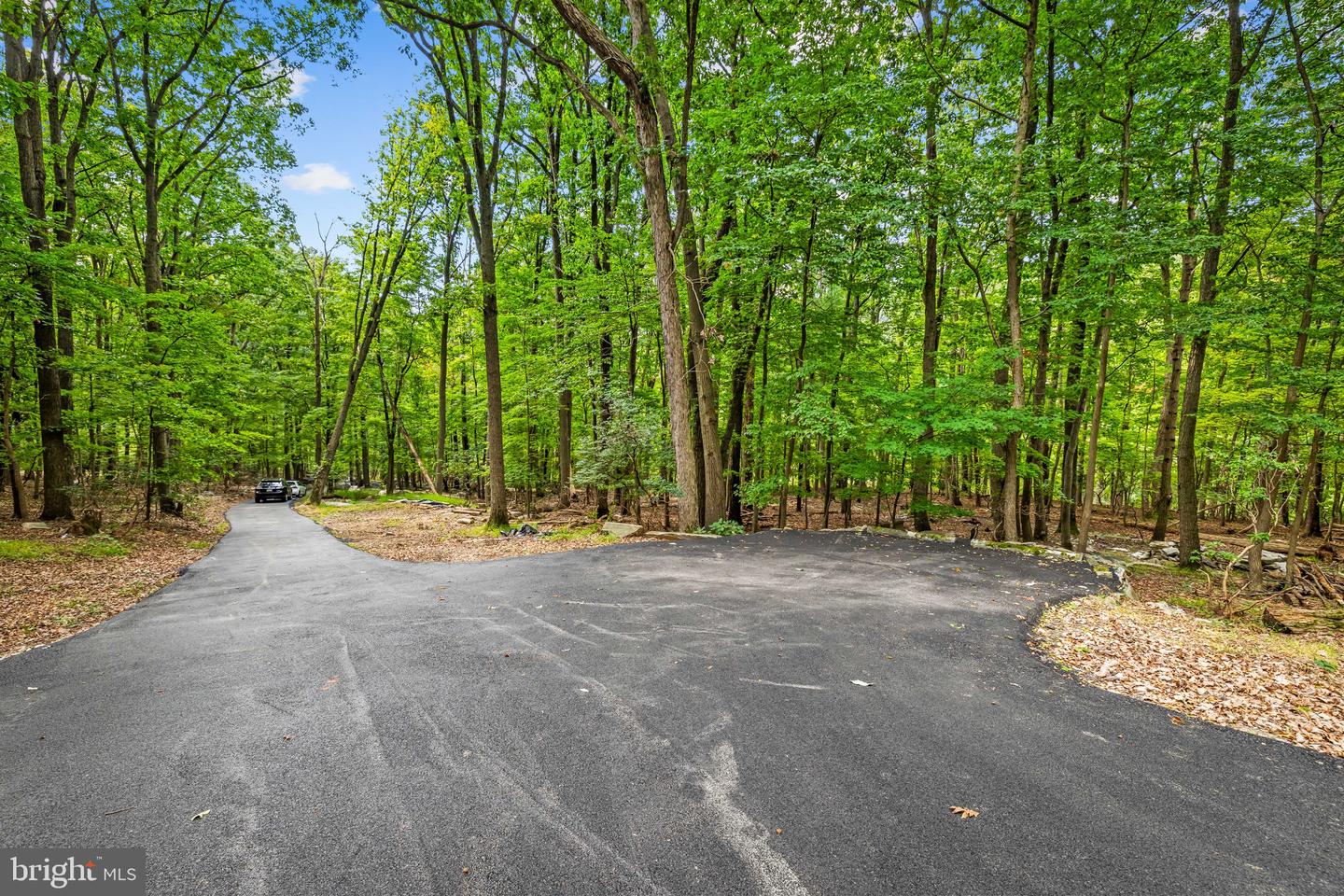 7407 Baltimore National Pike Property Photo 60
