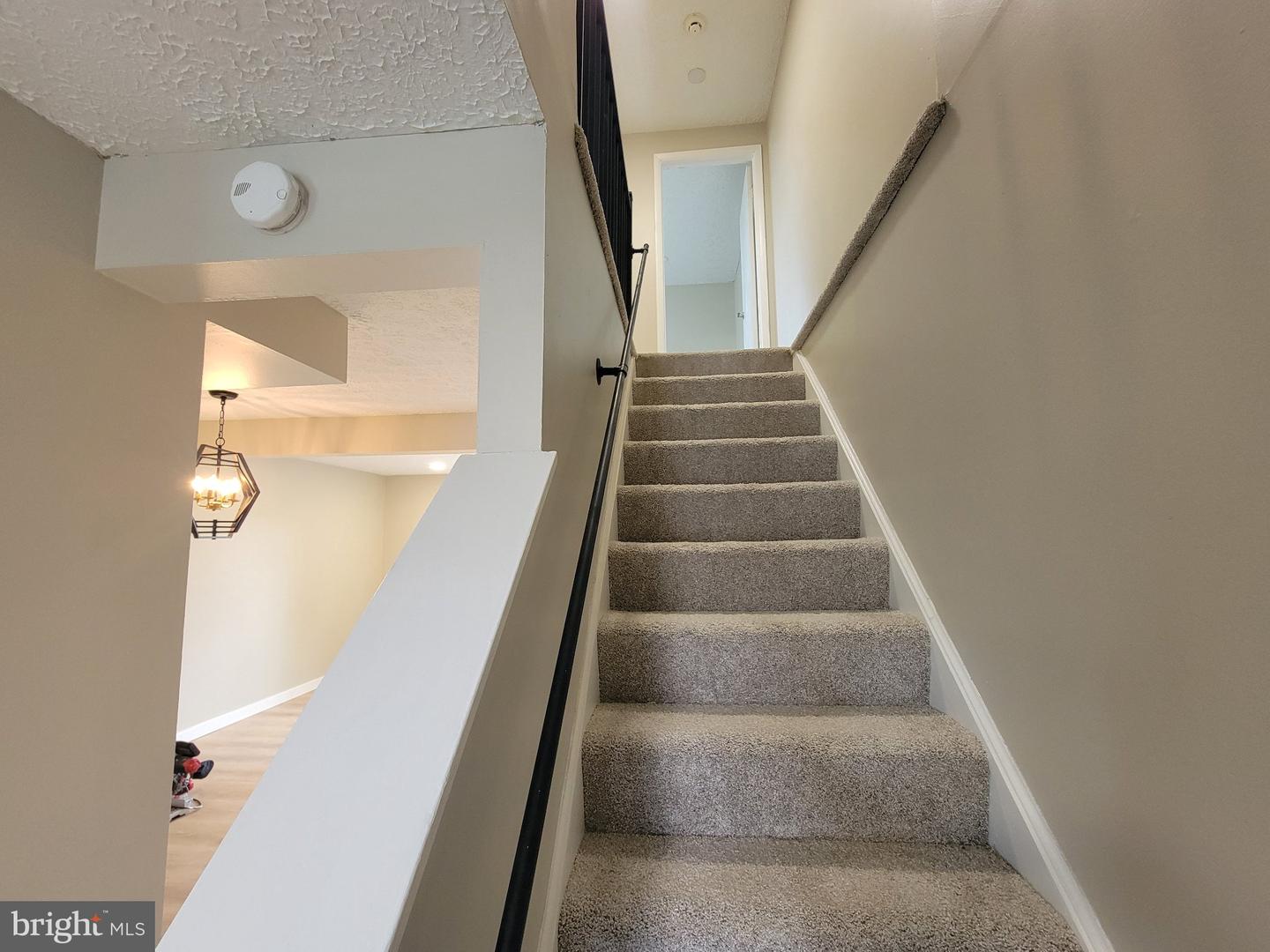246 Canfield Ter Property Photo 11