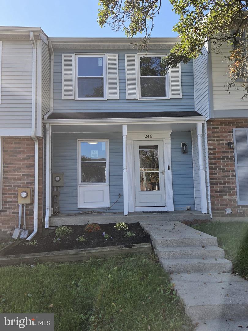 246 Canfield Ter Property Photo 17