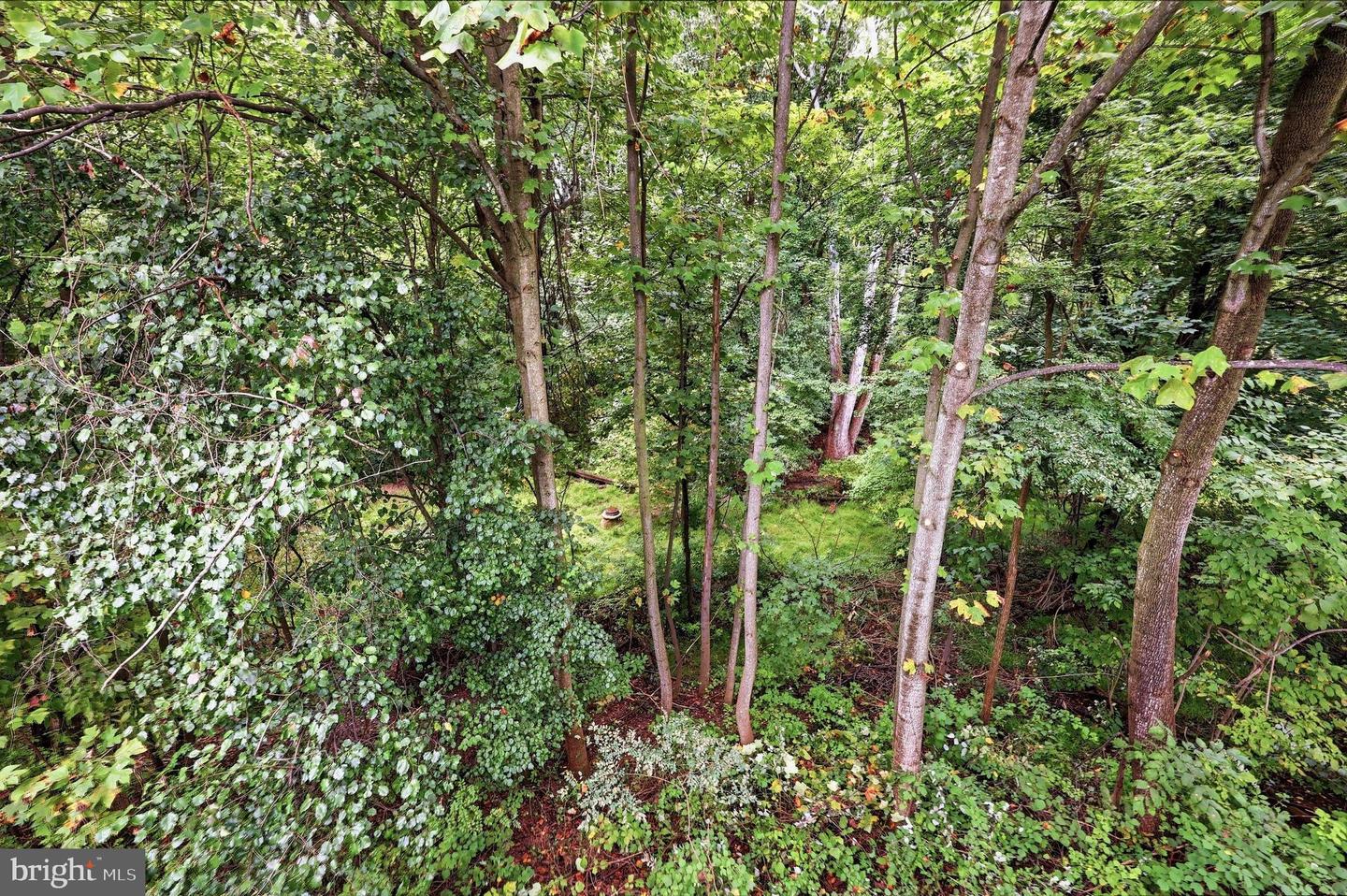 908 Winding Way Property Photo 32