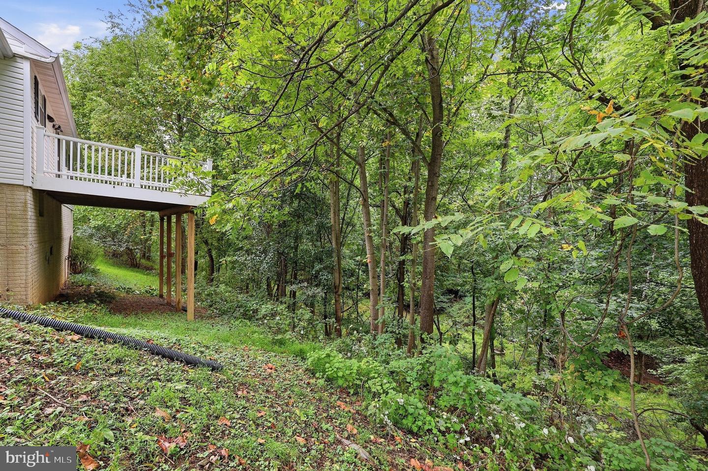 908 Winding Way Property Photo 48