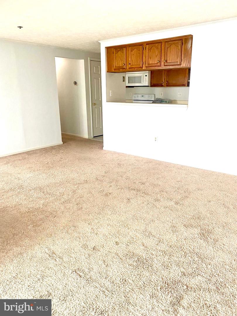 619 Himes Ave #101 Property Photo 9
