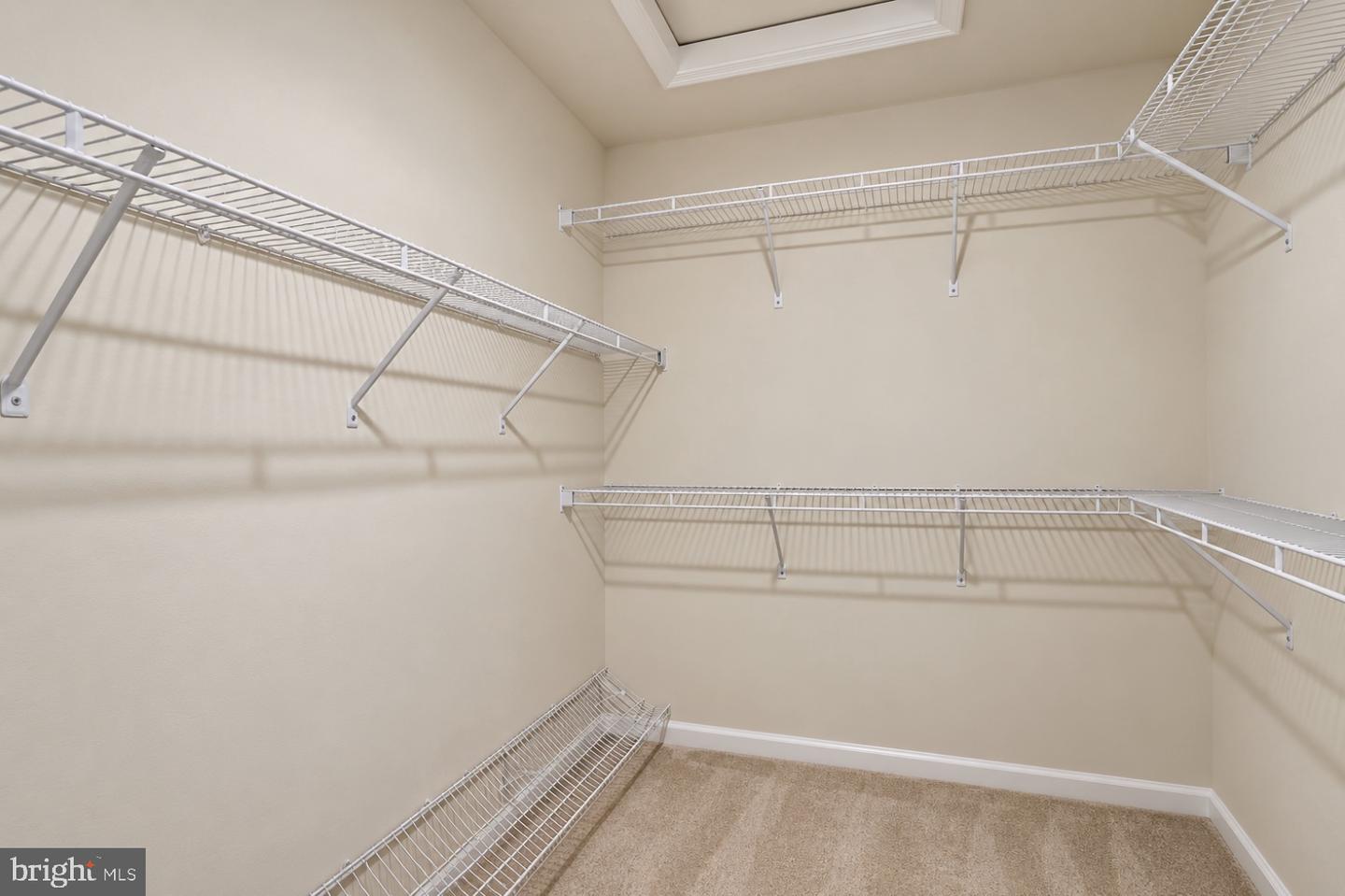 4349 Viridian Ter Property Photo 18