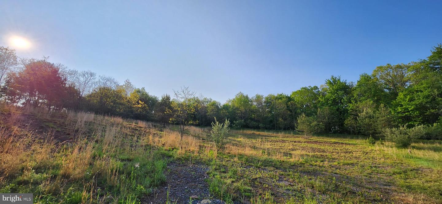 226 Builders Way Property Photo 7