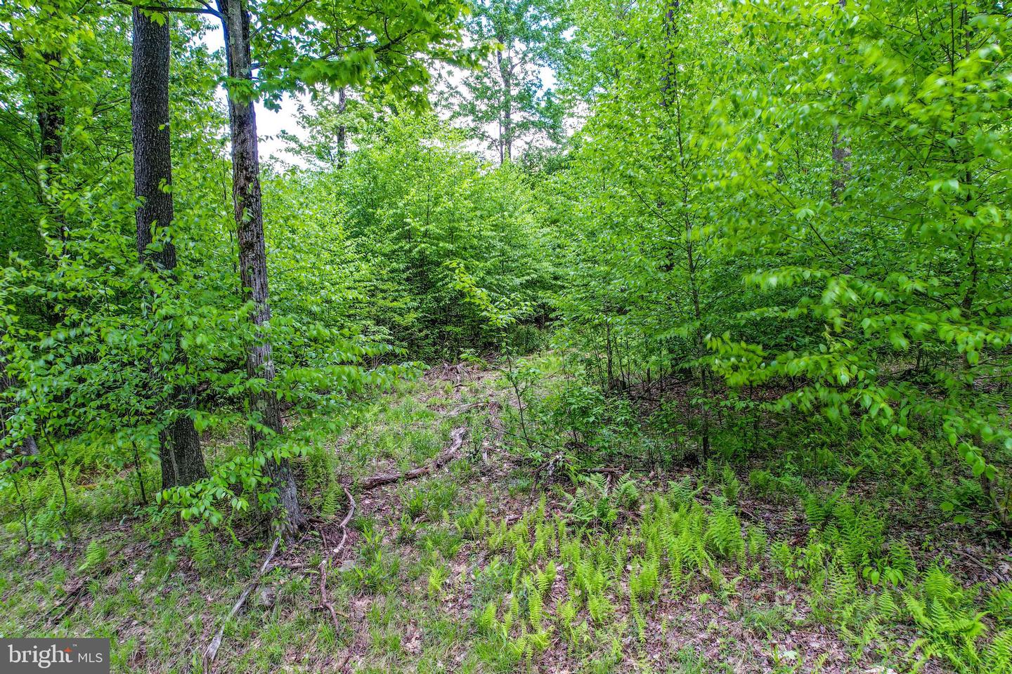 0 George Washington Hwy Property Photo 30