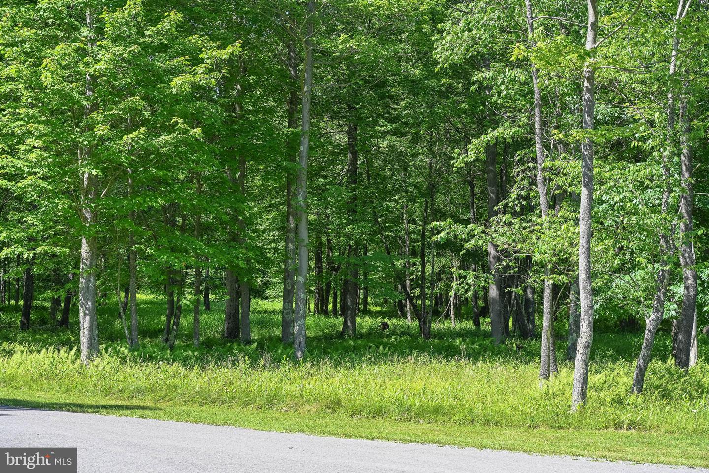Lot 23 Winding Estates Dr Property Photo 17