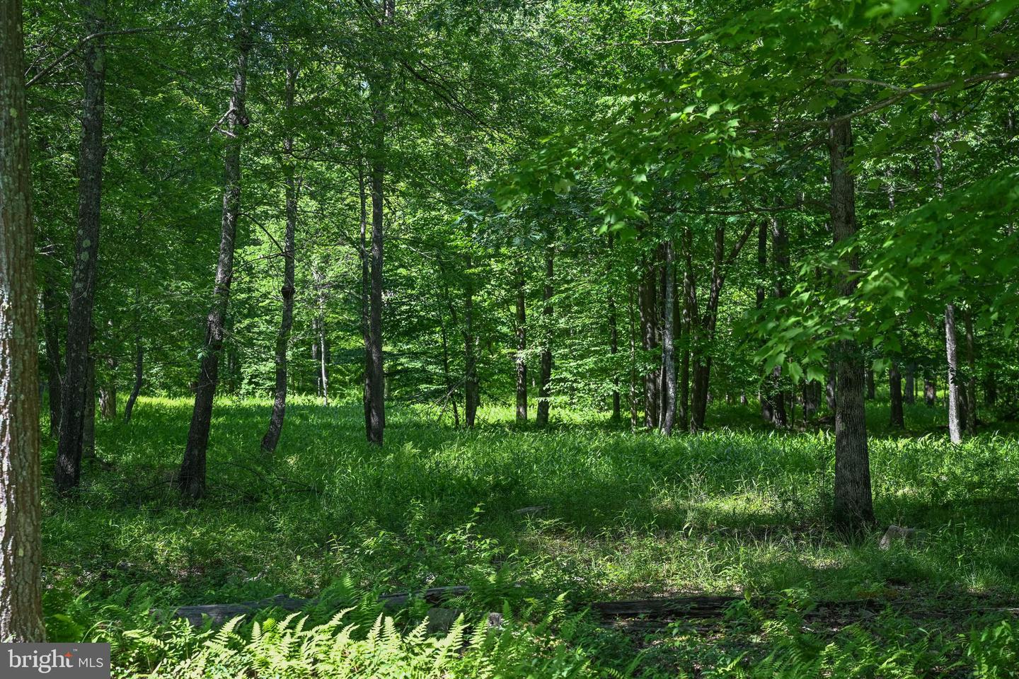 Lot 23 Winding Estates Dr Property Photo 19