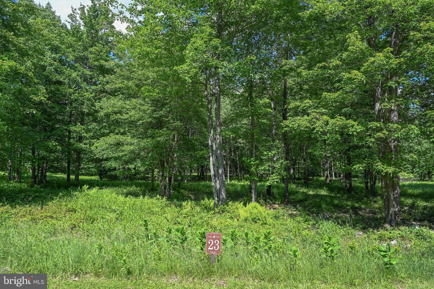 Lot 23 Winding Estates Dr Property Photo 21