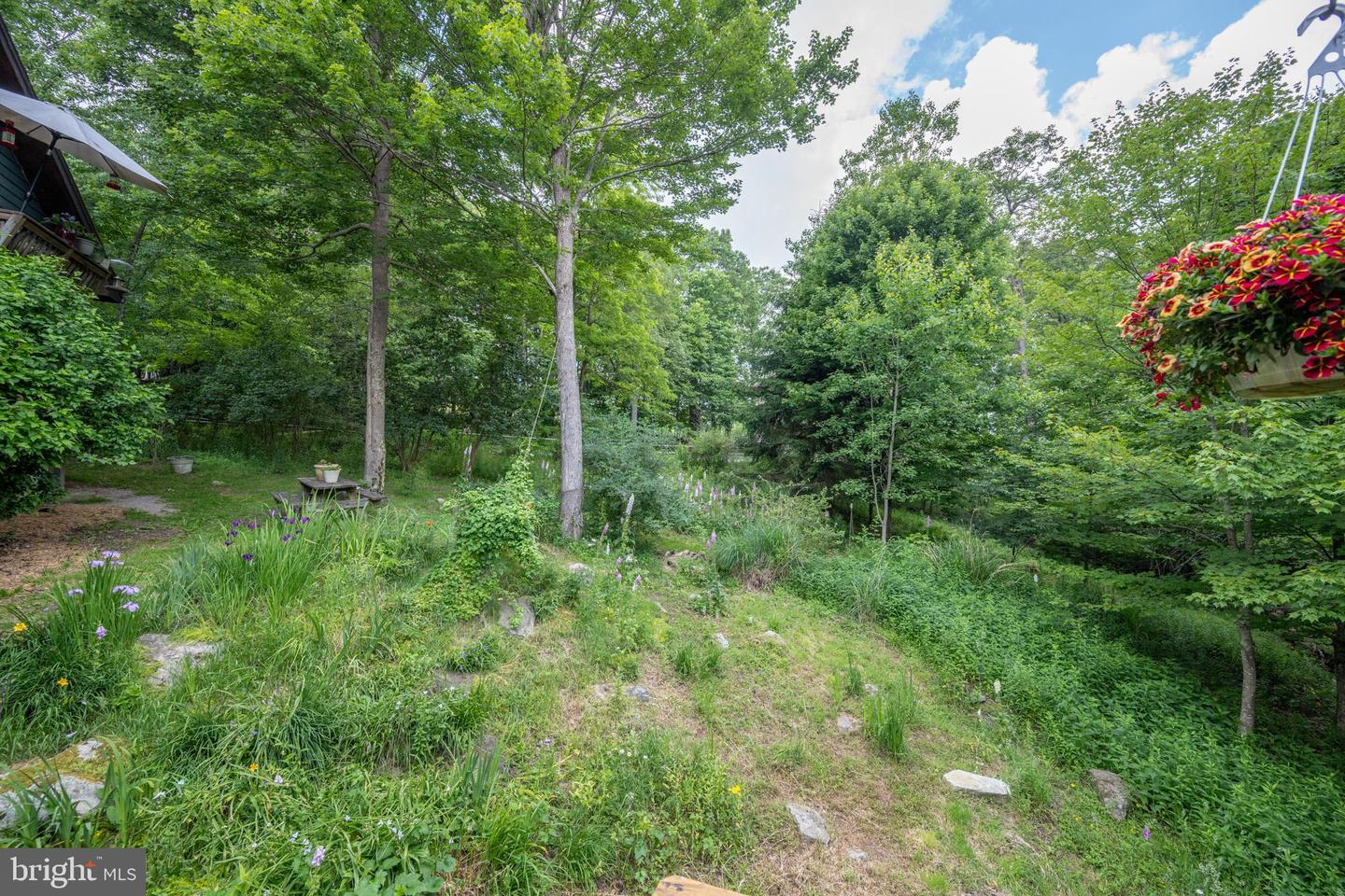 188 Highline Dr Property Photo 108