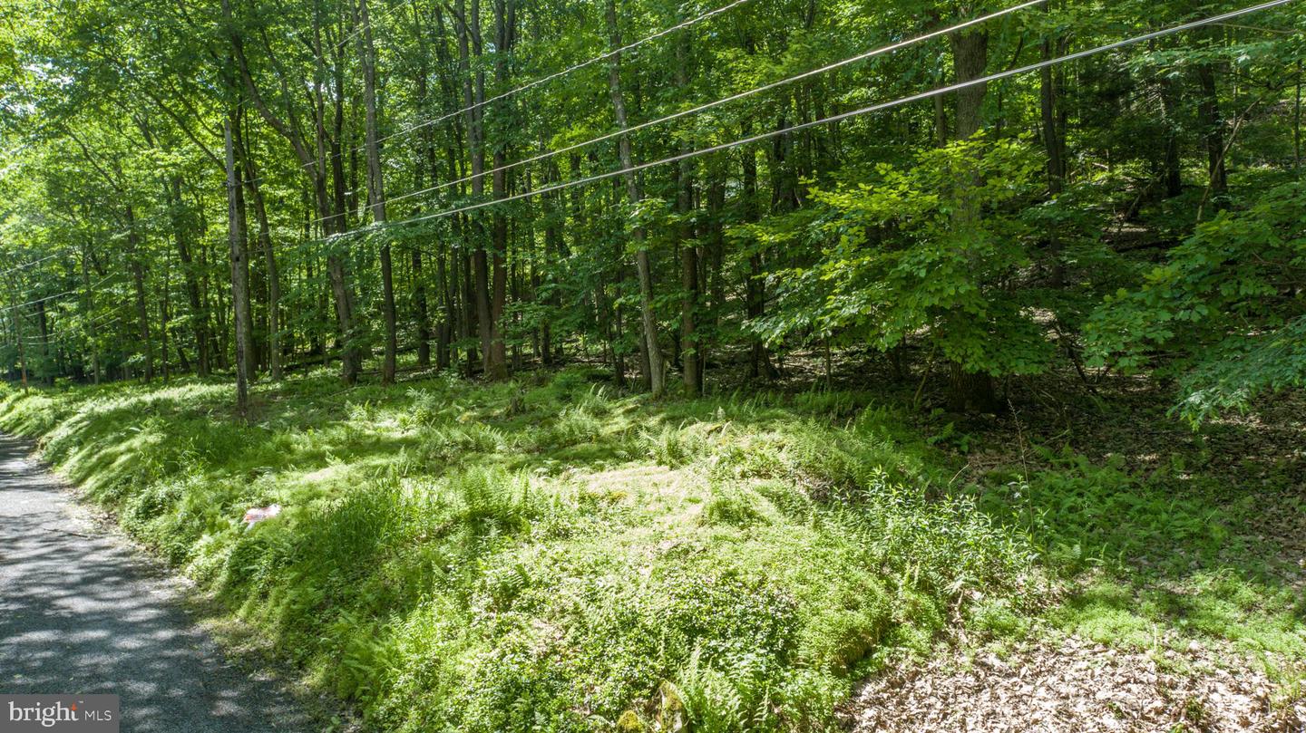 Lot 181 Santa Fe Trl Property Photo 7