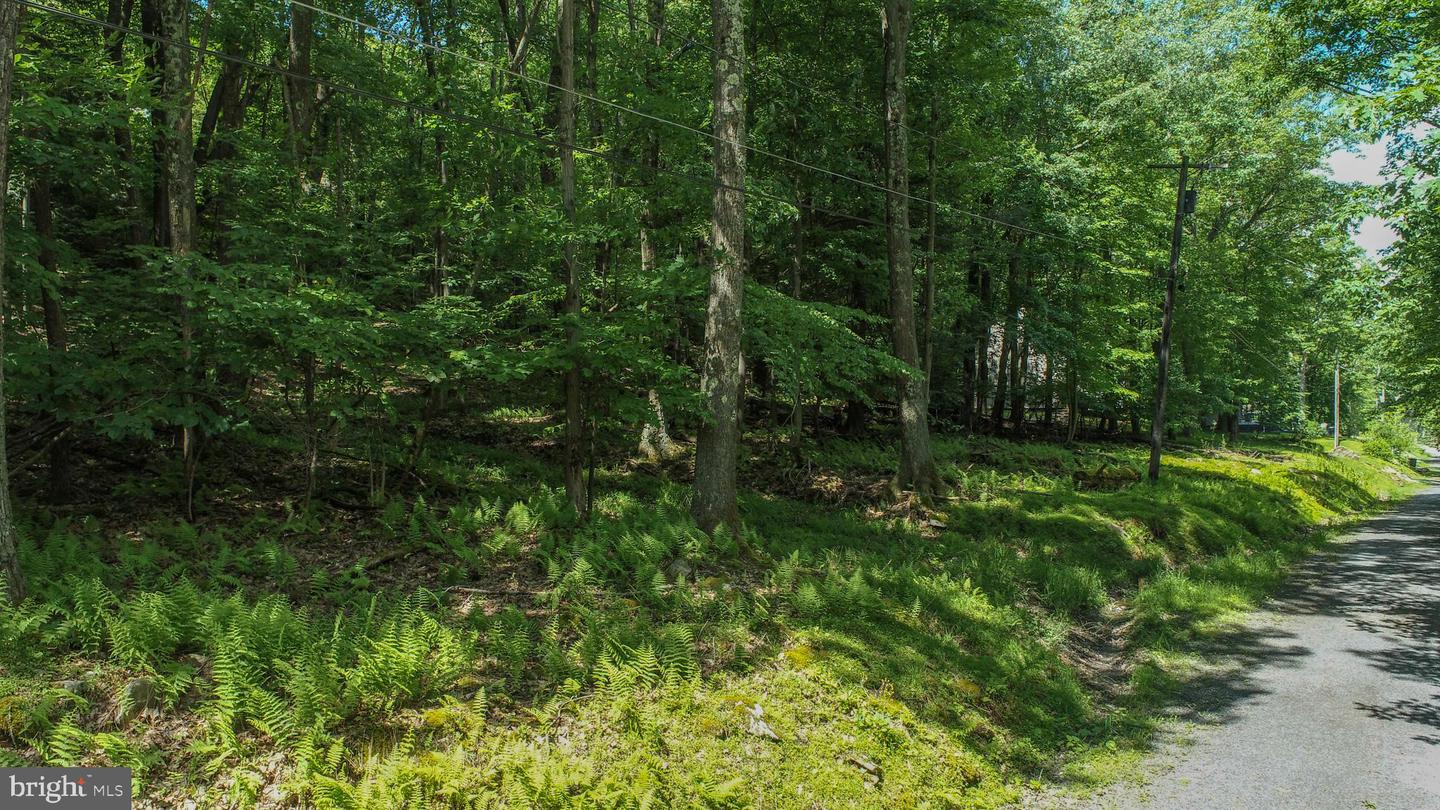 Lot 181 Santa Fe Trl Property Photo 8