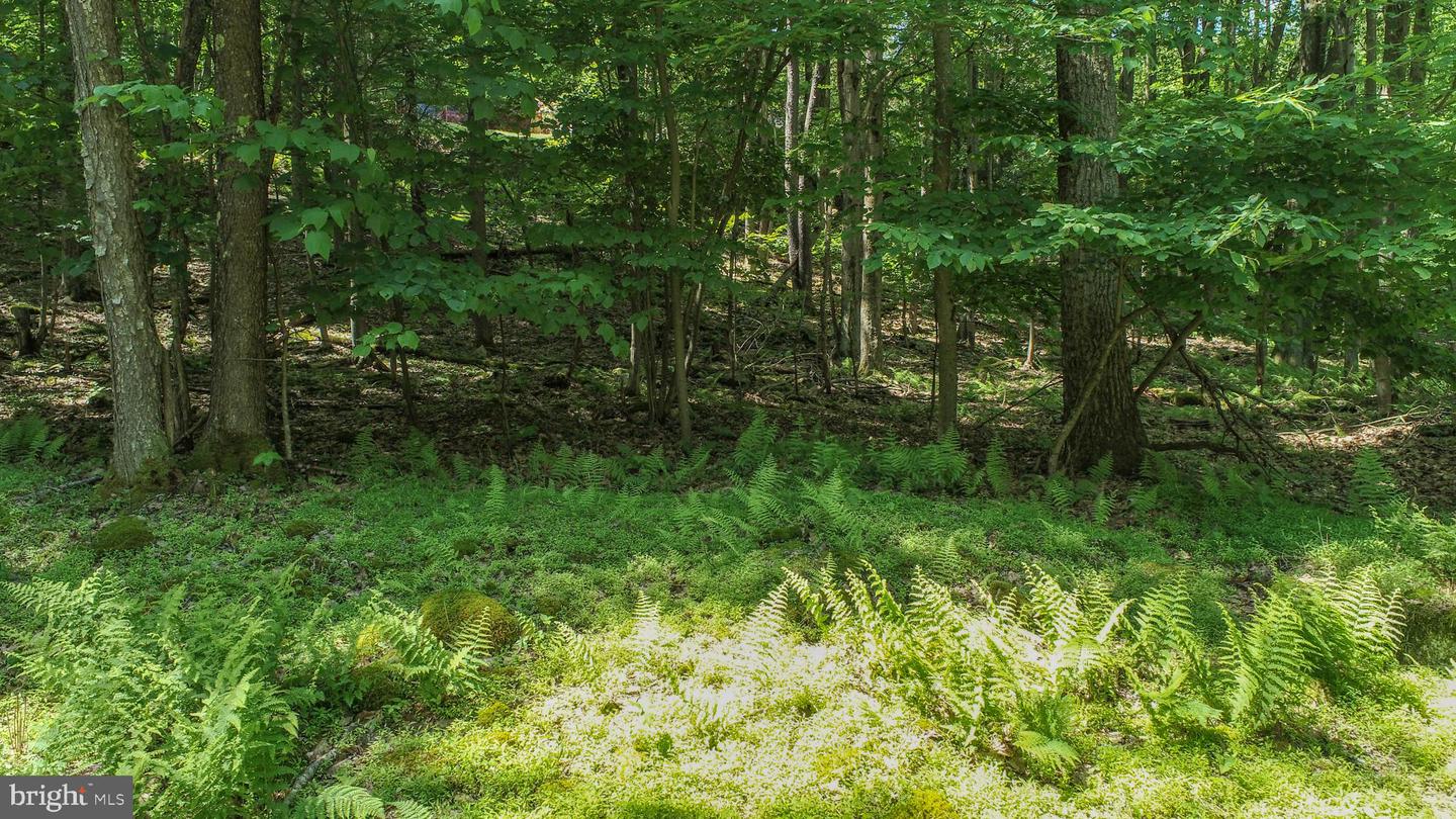 Lot 181 Santa Fe Trl Property Photo 9