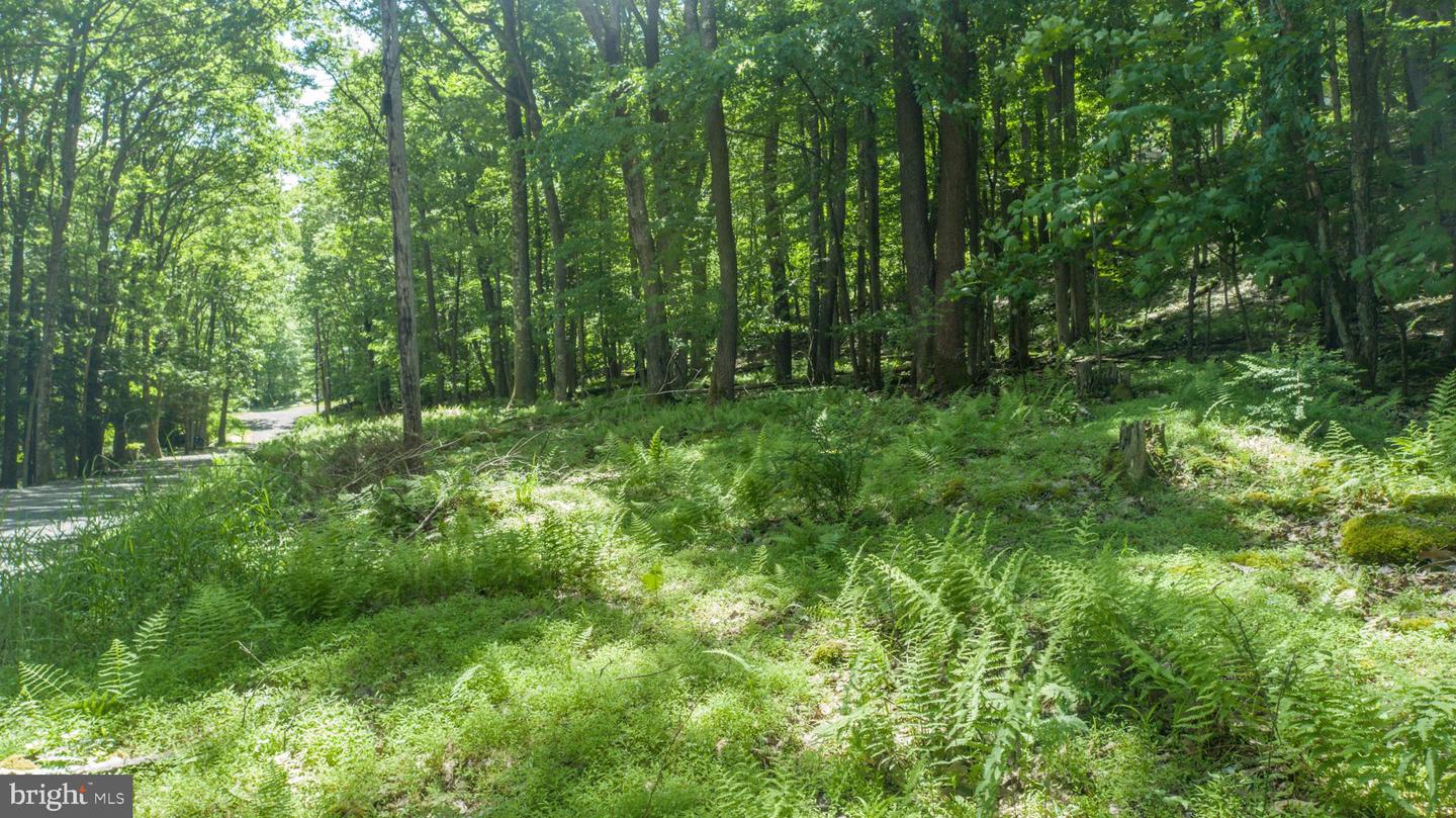 Lot 181 Santa Fe Trl Property Photo 10