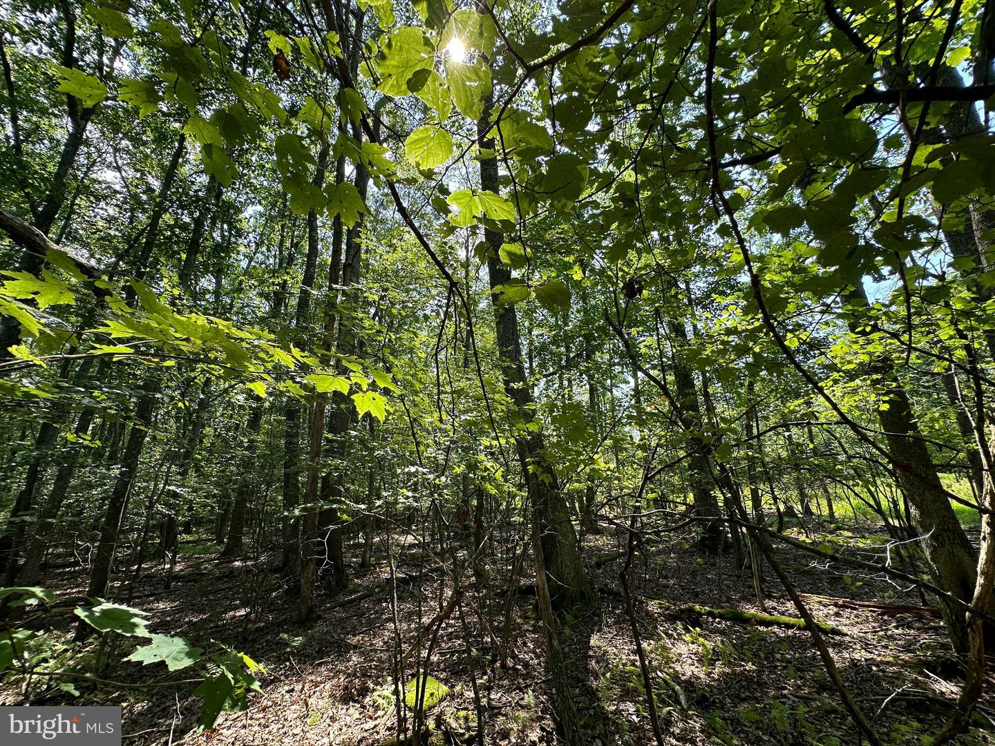 Lot 6 Quentin Lane Property Photo 2
