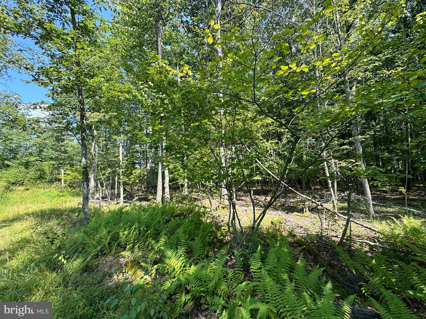 Lot 6 Quentin Lane Property Photo 6