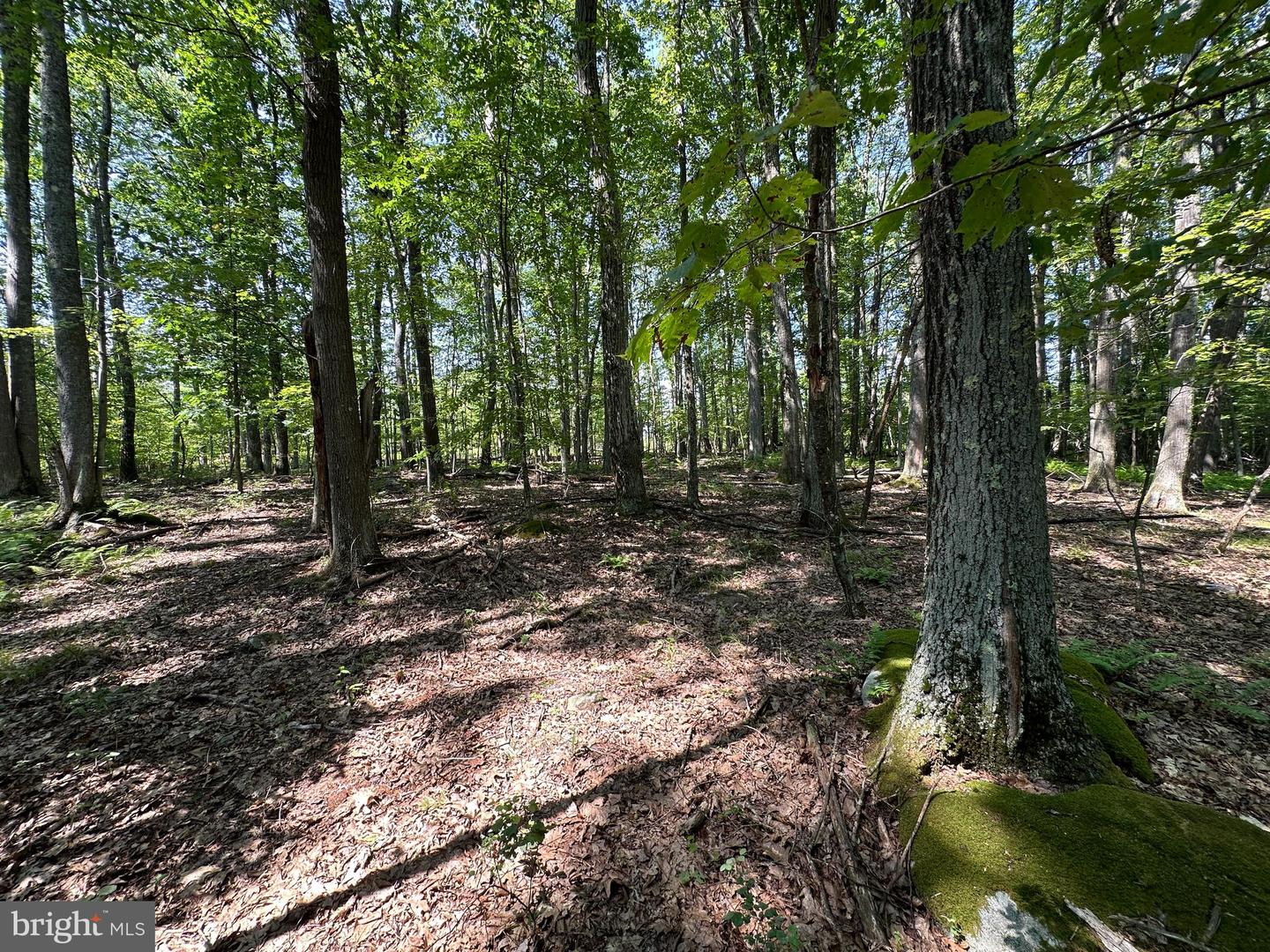 Lot 6 Quentin Lane Property Photo 8