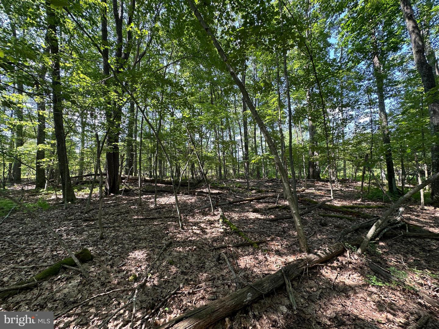 Lot 6 Quentin Lane Property Photo 11