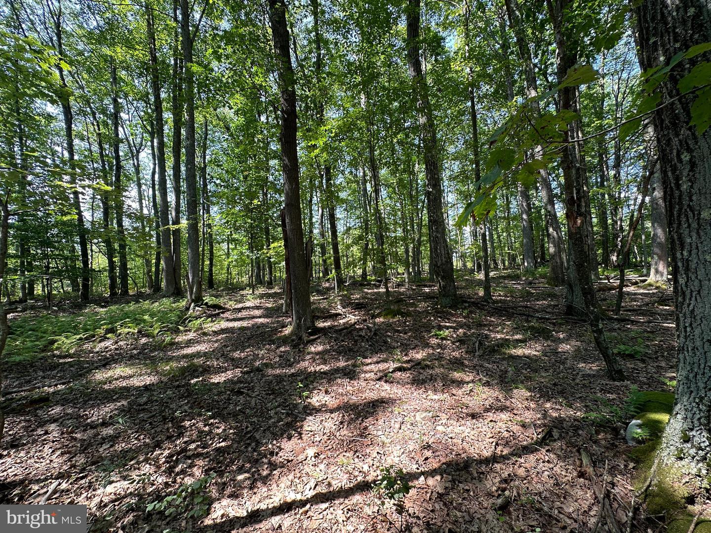 Lot 6 Quentin Lane Property Photo 12