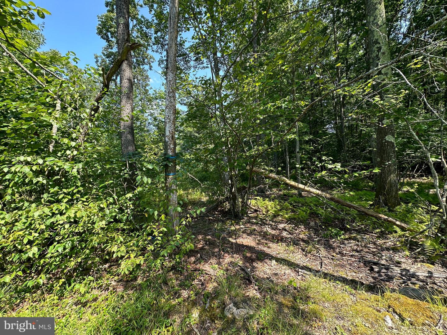 Lot 6 Quentin Lane Property Photo 14