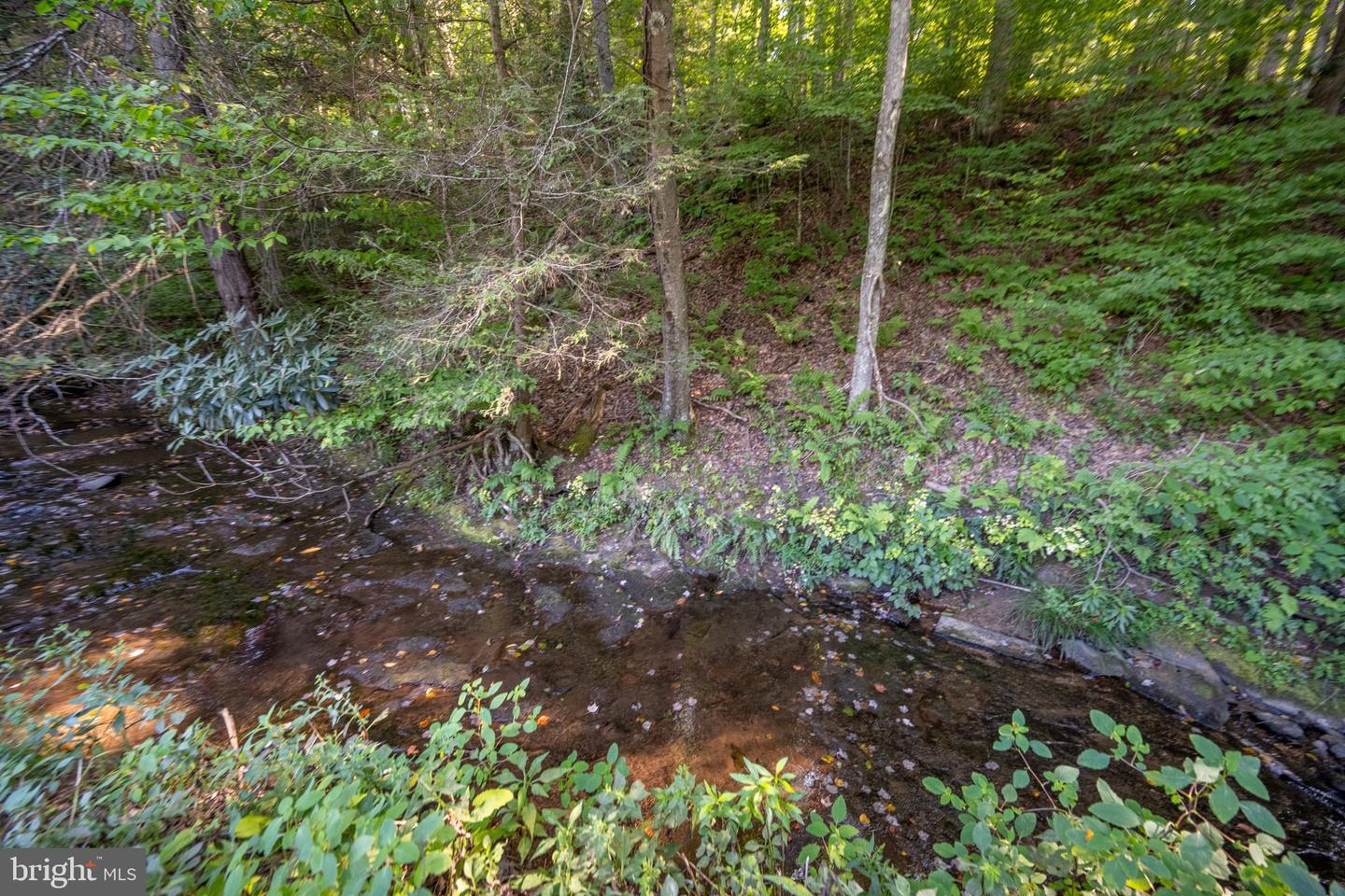 Sang Run Rd Property Photo 2