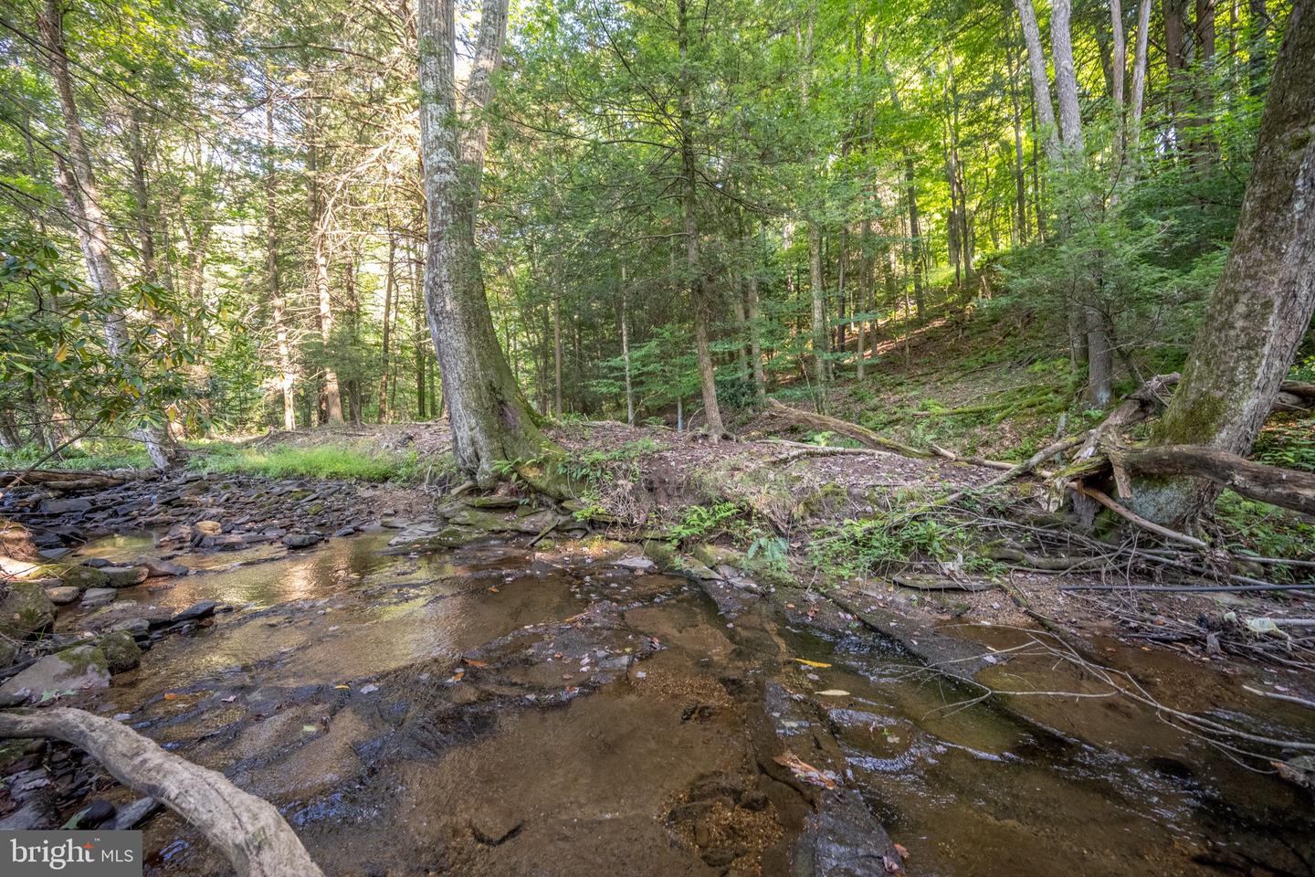 Sang Run Rd Property Photo 17