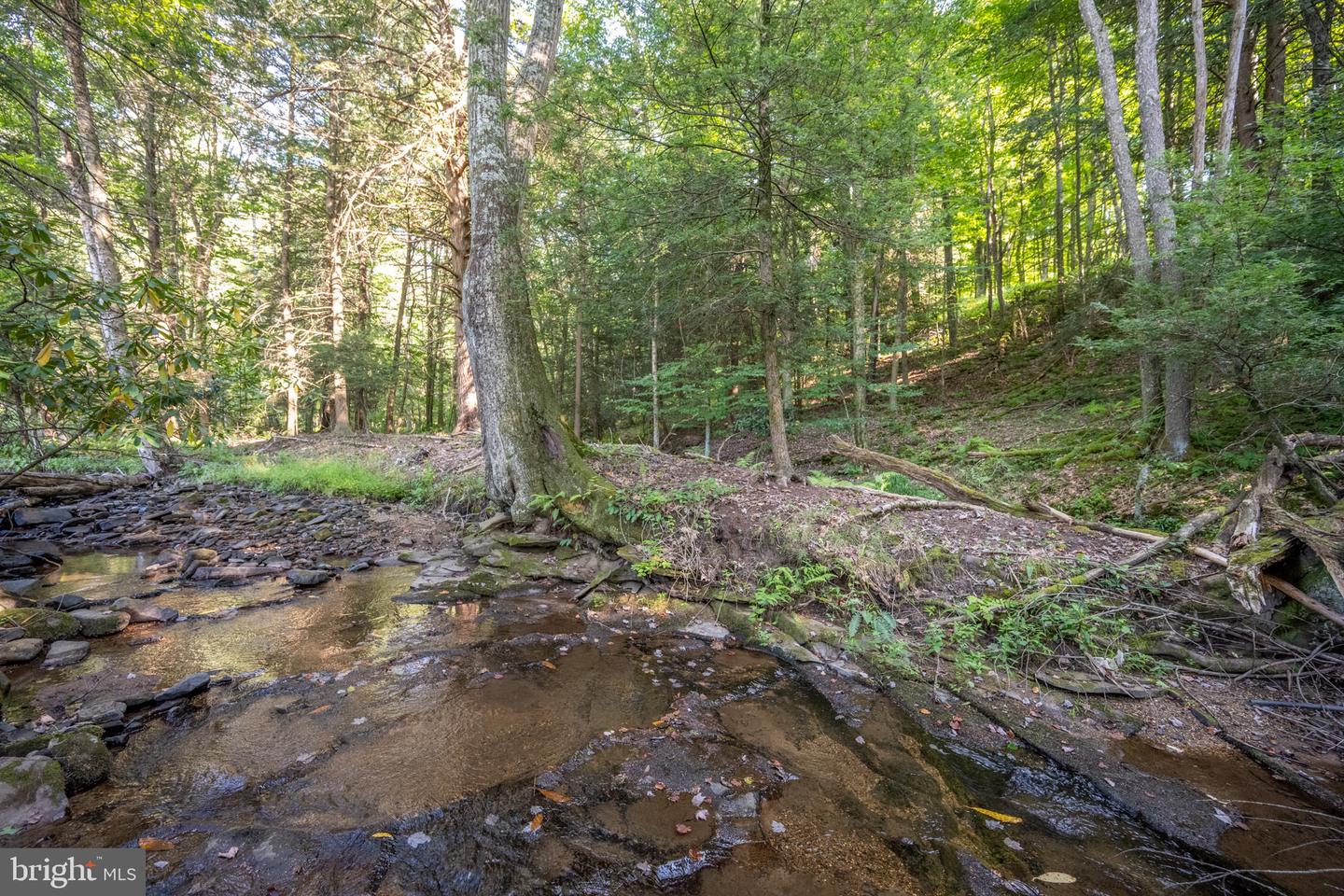 Sang Run Rd Property Photo 18